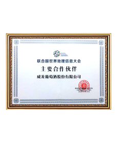 聯合國世界地理信息大會合作伙伴
